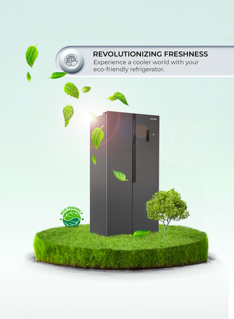 Side By Side Refrigerator Freezer 650 Liters Gross Capacity, Inverter Based, Digital Control - EGR820S-5