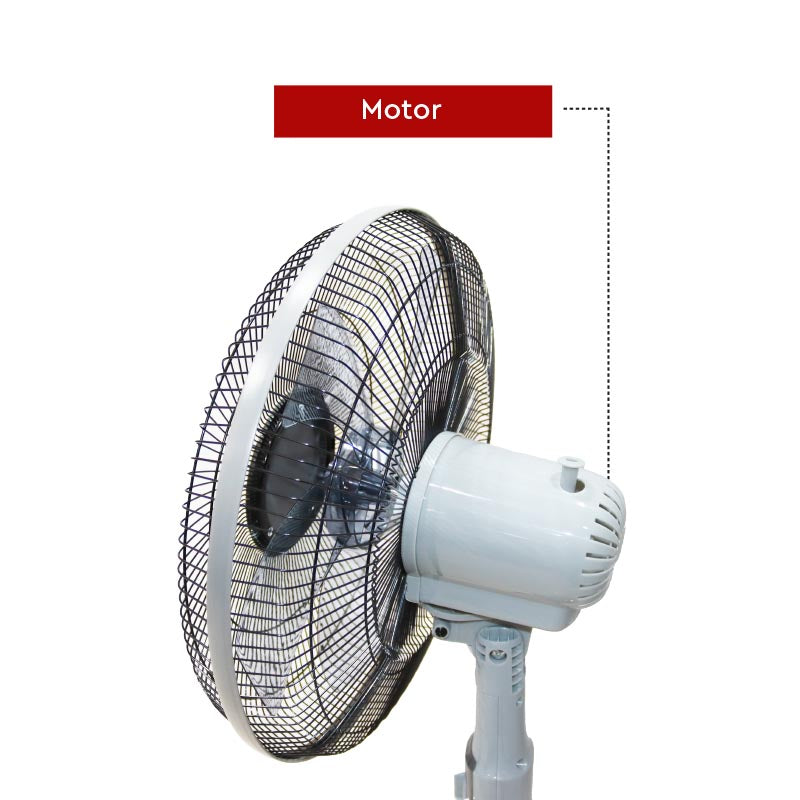 Nobel Stand Fan Black 16 Inch 3 Blades NF145-4